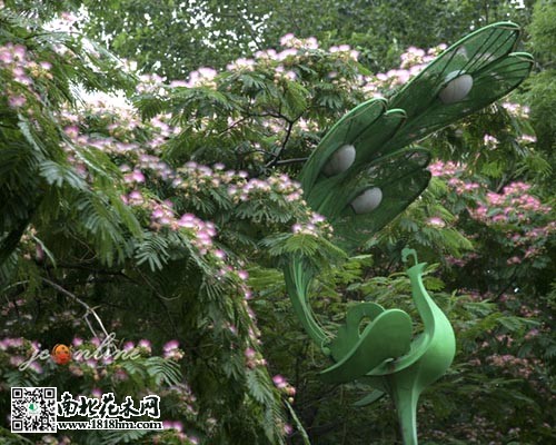 合欢枯萎病发病规律及防治方法