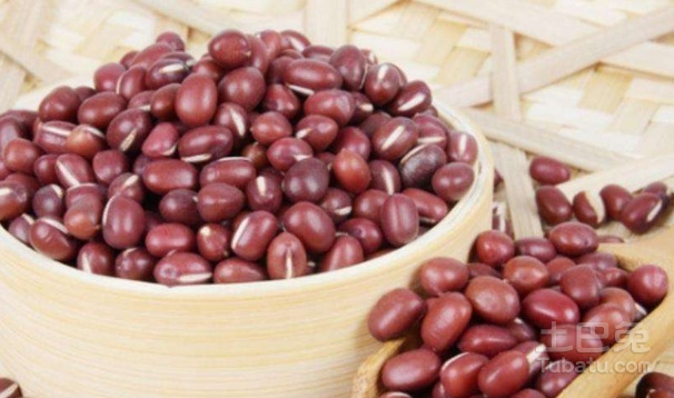 红豆种子怎么种  种植方法介绍