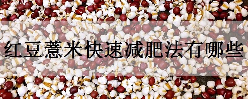 红豆薏米快速减肥法有哪些 原理是什么