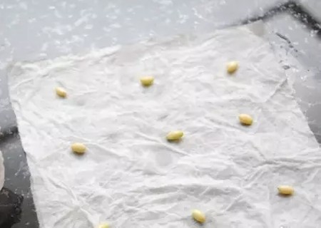 柠檬盆栽培育方法