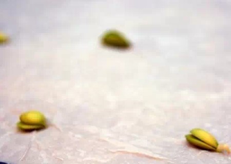 柠檬盆栽培育方法