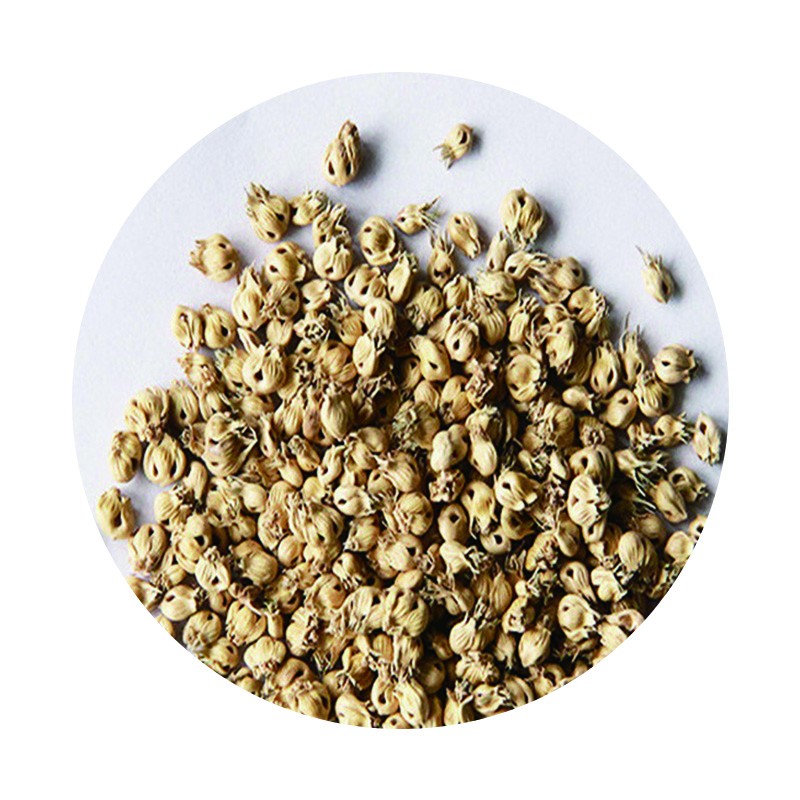 野牛草发芽效果好吗,播种后几天发芽