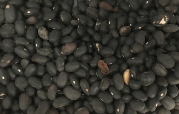 黑豆几月份播种比较好