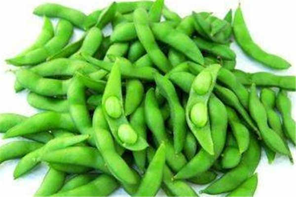 毛豆种植最佳时间和方法及注意事项 什么季节播种好