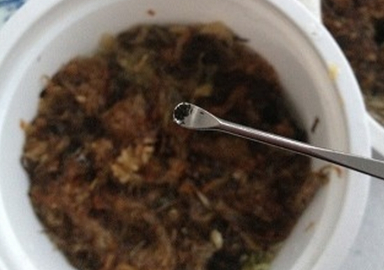 好望角茅膏菜的播种步骤展示