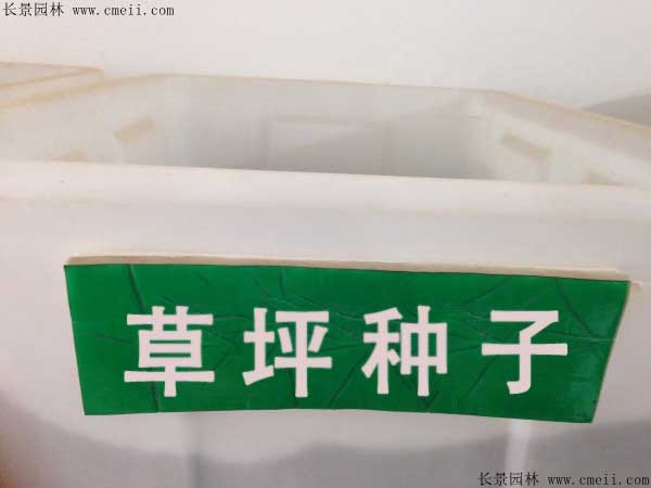 草坪种子的播种方法