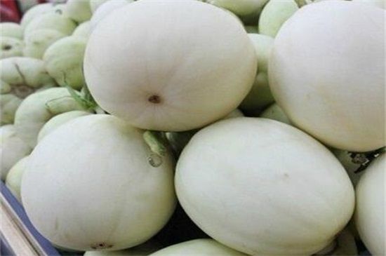 甜瓜品种有哪些？十大种类甜瓜图片
