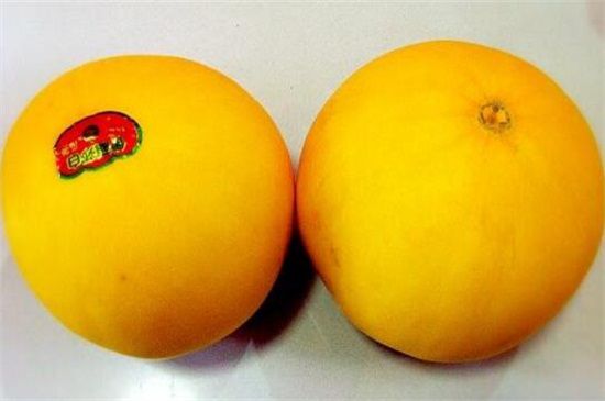 甜瓜品种有哪些？十大种类甜瓜图片