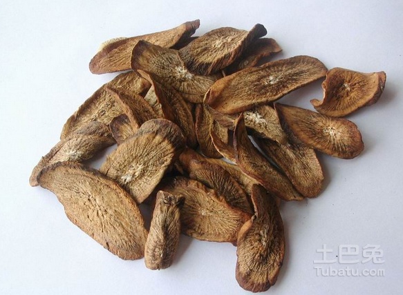 牛蒡图片简介，教你看图识物