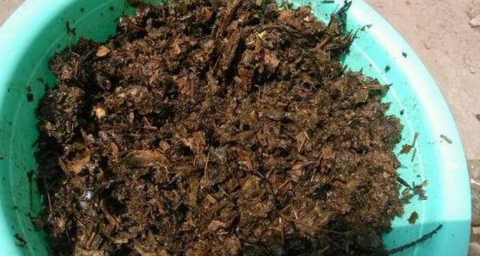 用醋浇花的正确方法 兑水比例是多少