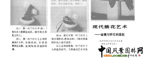 插花艺术的叶片造型技巧