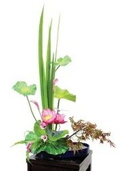 中国传统插花——荷花插花