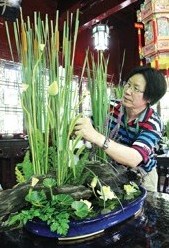 中国传统插花——荷花插花