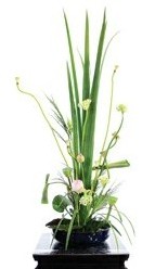 中国传统插花——荷花插花