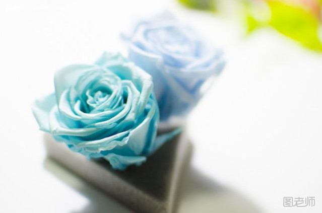 DIY手工创意永生花插花
