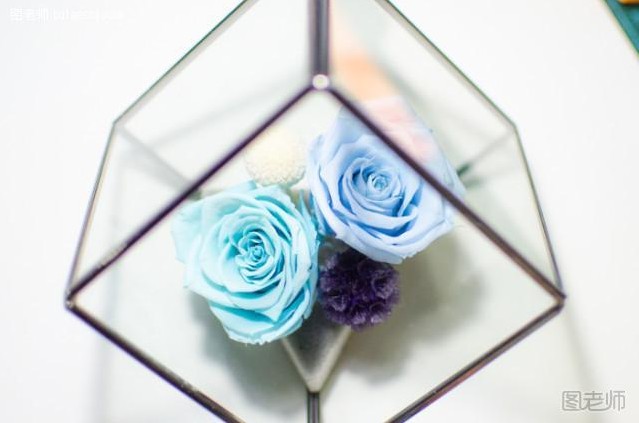 DIY手工创意永生花插花