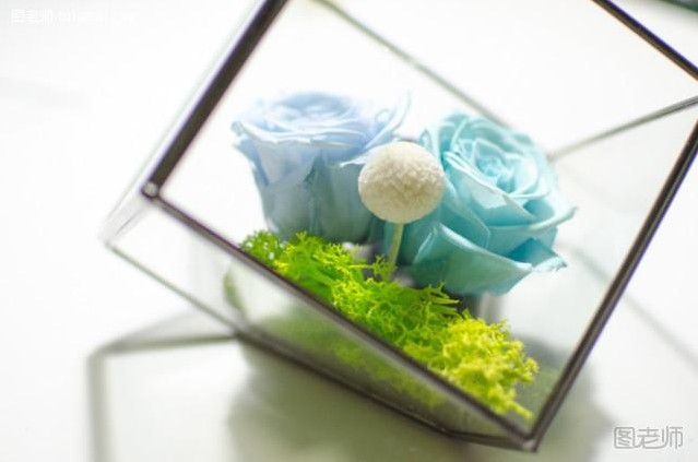 DIY手工创意永生花插花
