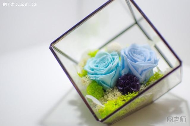 DIY手工创意永生花插花