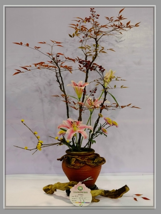 迎春花插花