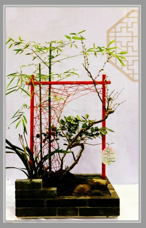 迎春花插花
