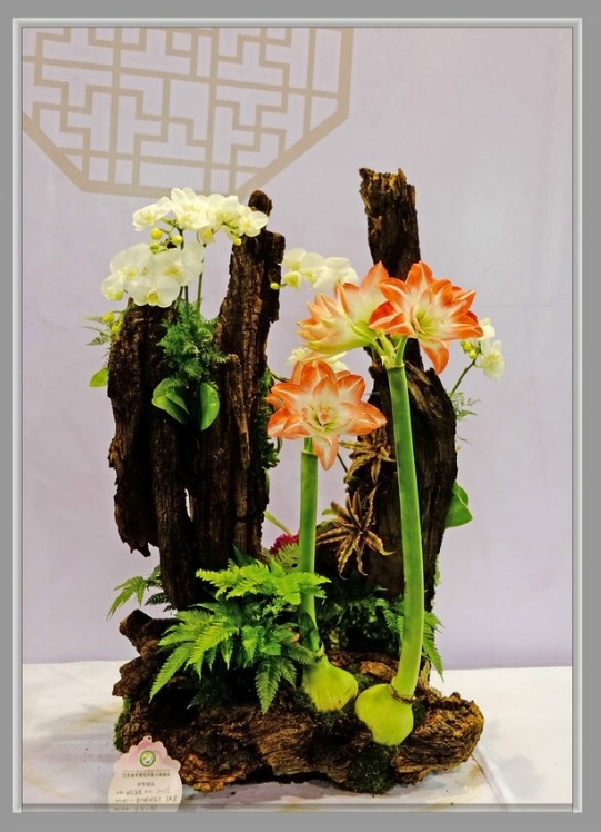 迎春花插花