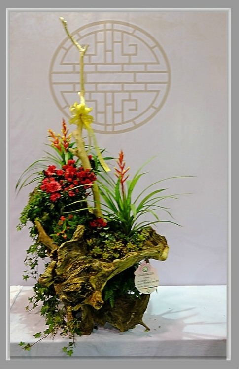迎春花插花