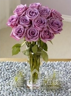 紫色花卉插花
