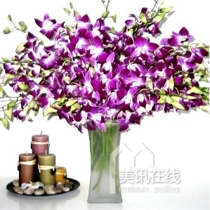紫色花卉插花