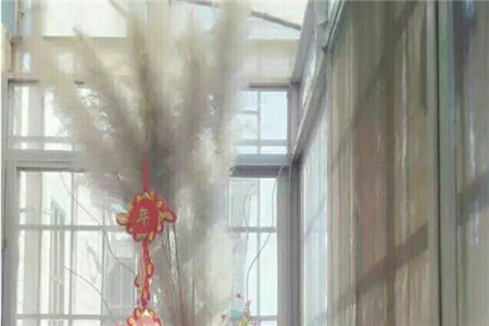 自制芦苇干花，芦苇插花瓶图片
