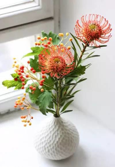 零基础也能学会的插花教程快快收藏