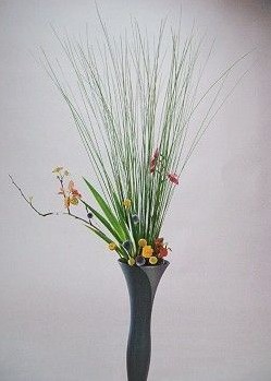 插花体验--丰华