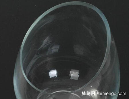 花瓶口特大怎么插花