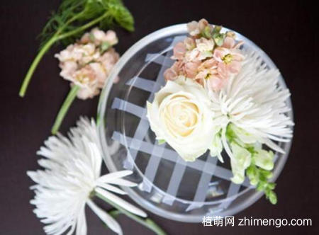 花瓶口特大怎么插花