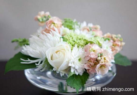 花瓶口特大怎么插花