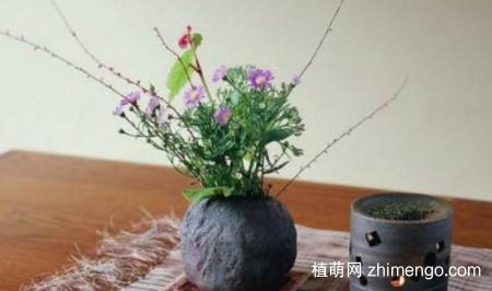 花瓶口特大怎么插花