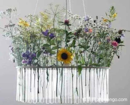 花瓶口特大怎么插花