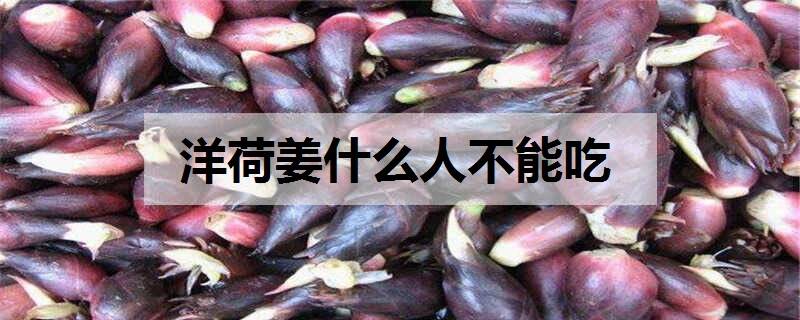 洋荷姜什么人不能吃