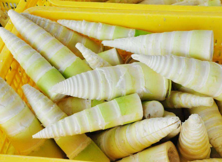 孕妇不能吃的食物
