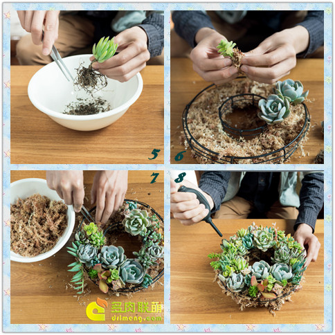 多肉花环DIY教程