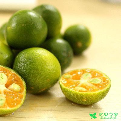 消暑神器——金桔柠檬茶DIY分享