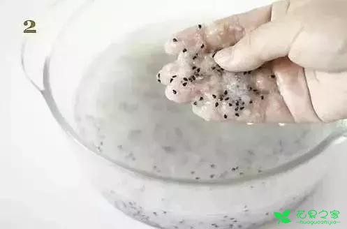 吃剩的果核有妙用，DIY收获小小盆栽
