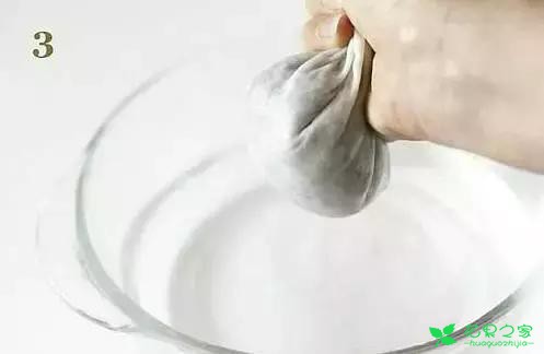 吃剩的果核有妙用，DIY收获小小盆栽