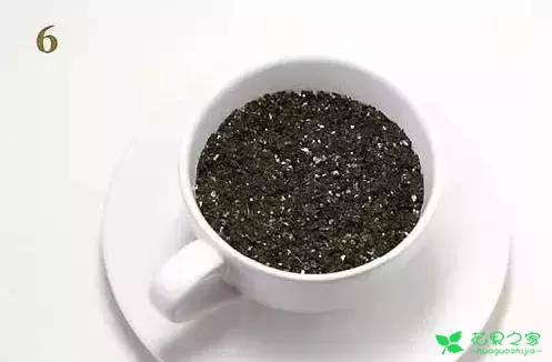 吃剩的果核有妙用，DIY收获小小盆栽