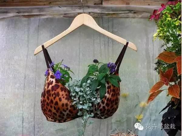 18个你从未想过的花盆创意