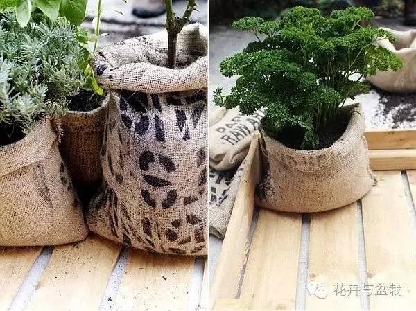 18个你从未想过的花盆创意