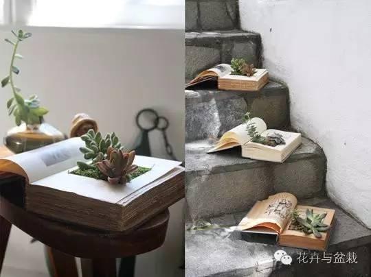 18个你从未想过的花盆创意
