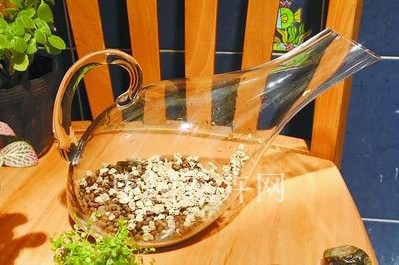 创意花礼点缀家居