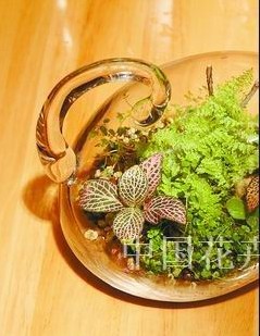 创意花礼点缀家居