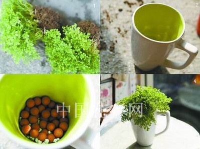 创意花礼点缀家居