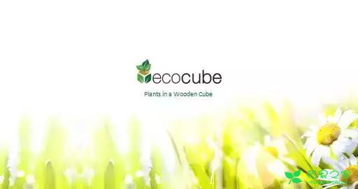 来自奥地利的创意盆栽，火遍新西兰，锻炼孩子的种植和欣赏本领 …